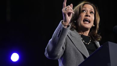 Qualifié de « vice-président de merde » par Trump, Harris répond